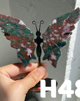Small Butterfly Wings