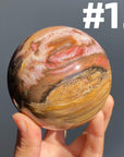 Petrified Wood Sphere