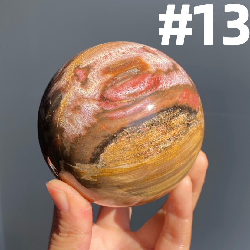 Petrified Wood Sphere