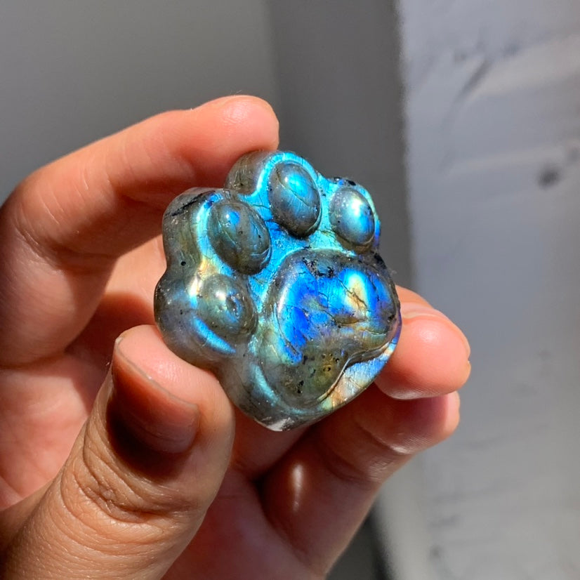 Labradorite Cat Paw