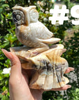 Sky Blue Quartz Owl