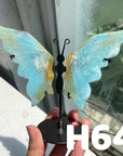 Small Butterfly Wings