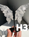 Small Butterfly Wings