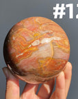 Petrified Wood Sphere