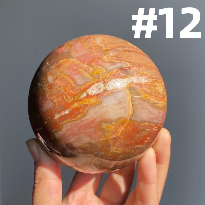 Petrified Wood Sphere