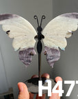 Small Butterfly Wings