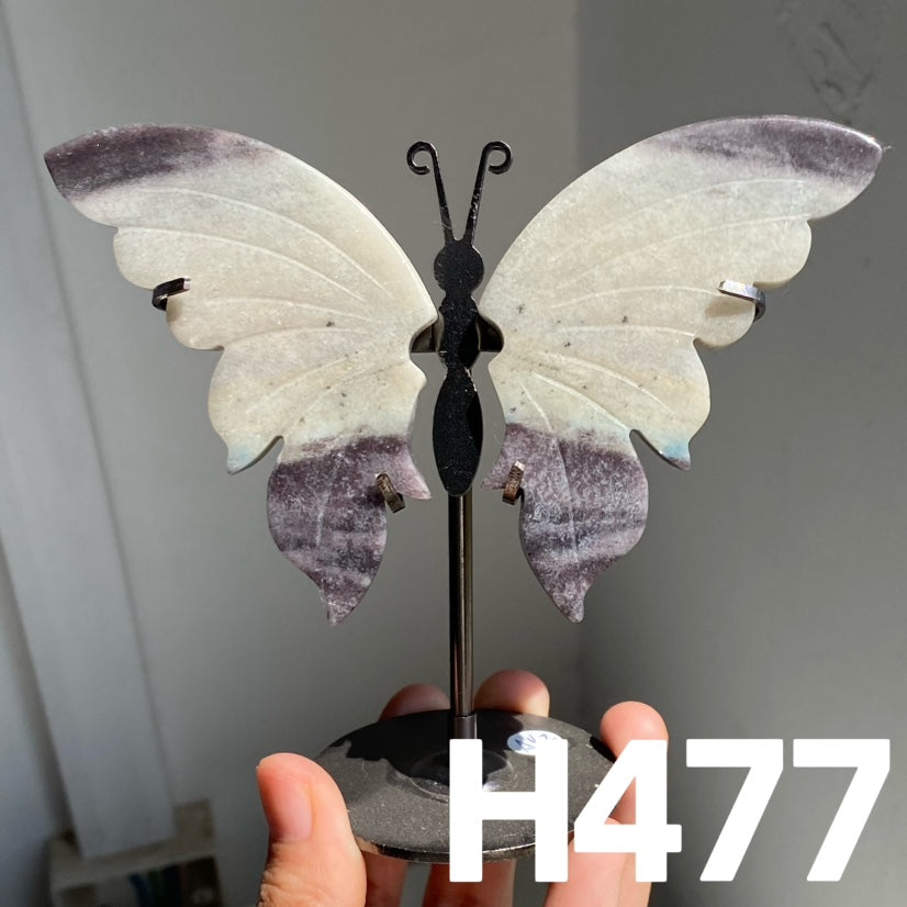 Small Butterfly Wings