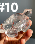 Crystal Turtle