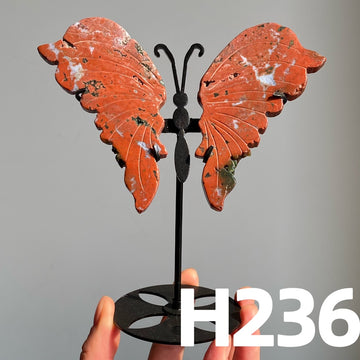 Small Butterfly Wings