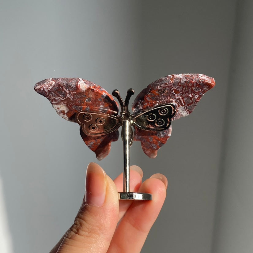 Mini Butterfly Wings