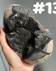 Septarian Egg & Freeform