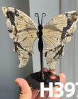 Small Butterfly Wings
