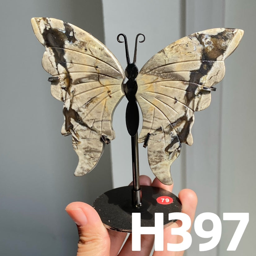 Small Butterfly Wings