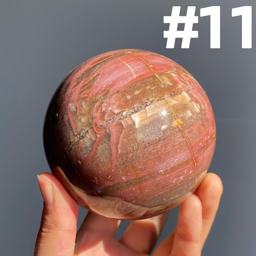 Petrified Wood Sphere