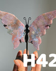 Small Butterfly Wings