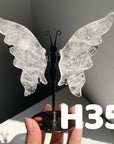 Small Butterfly Wings