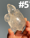 Crystal Turtle