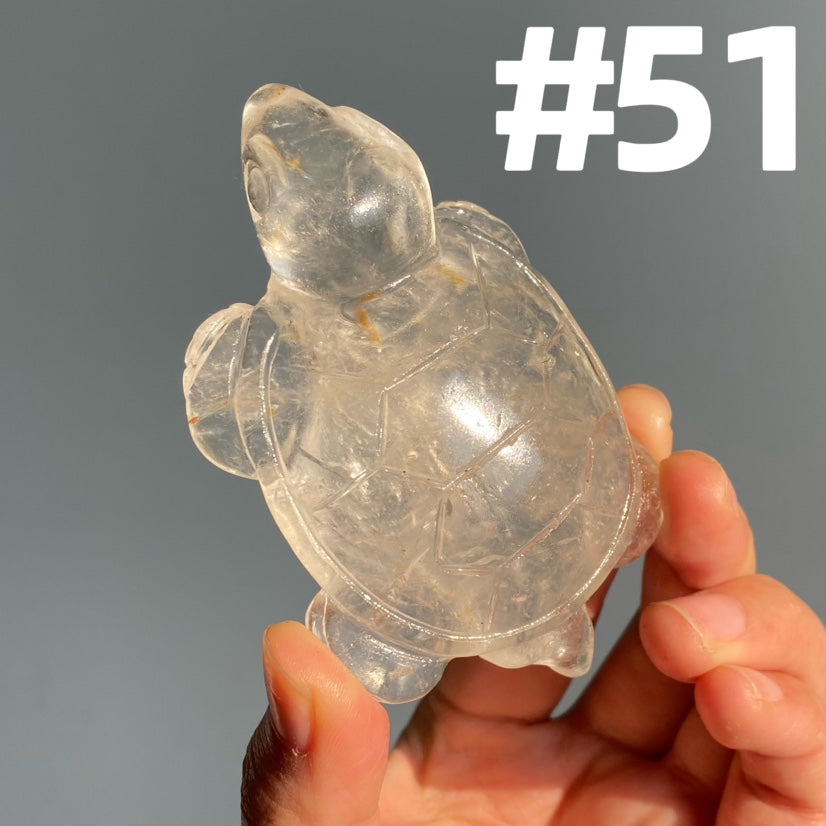 Crystal Turtle