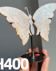 Small Butterfly Wings