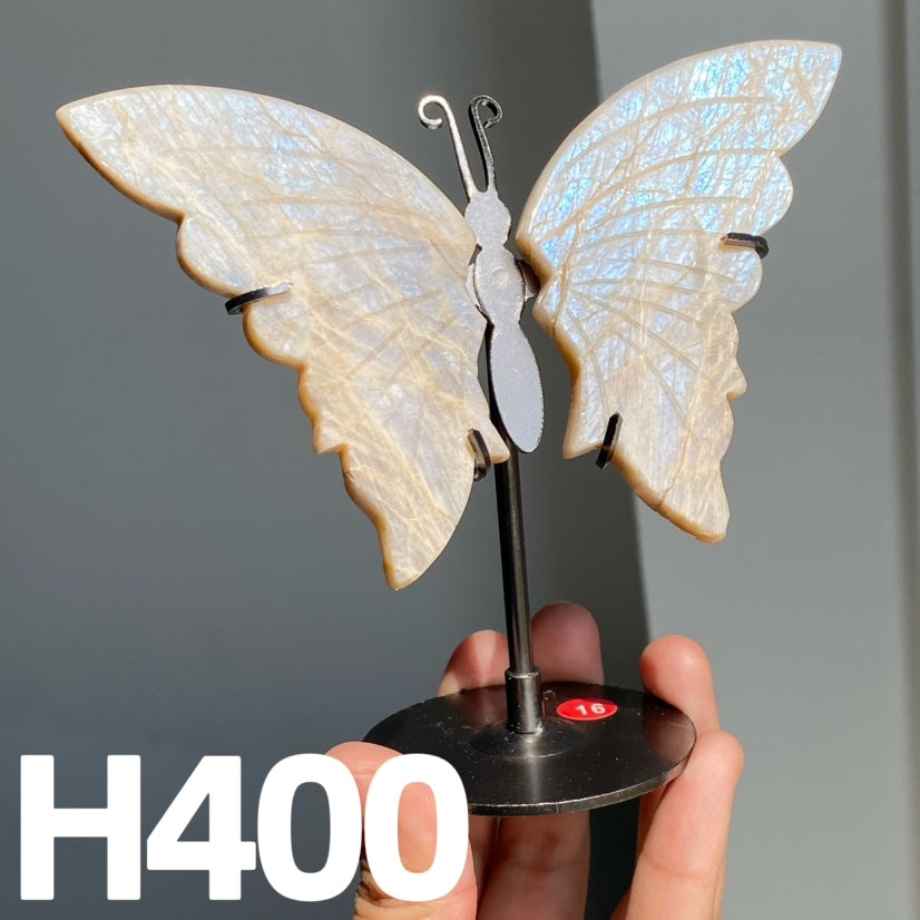 Small Butterfly Wings