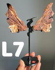 Dragon Wings