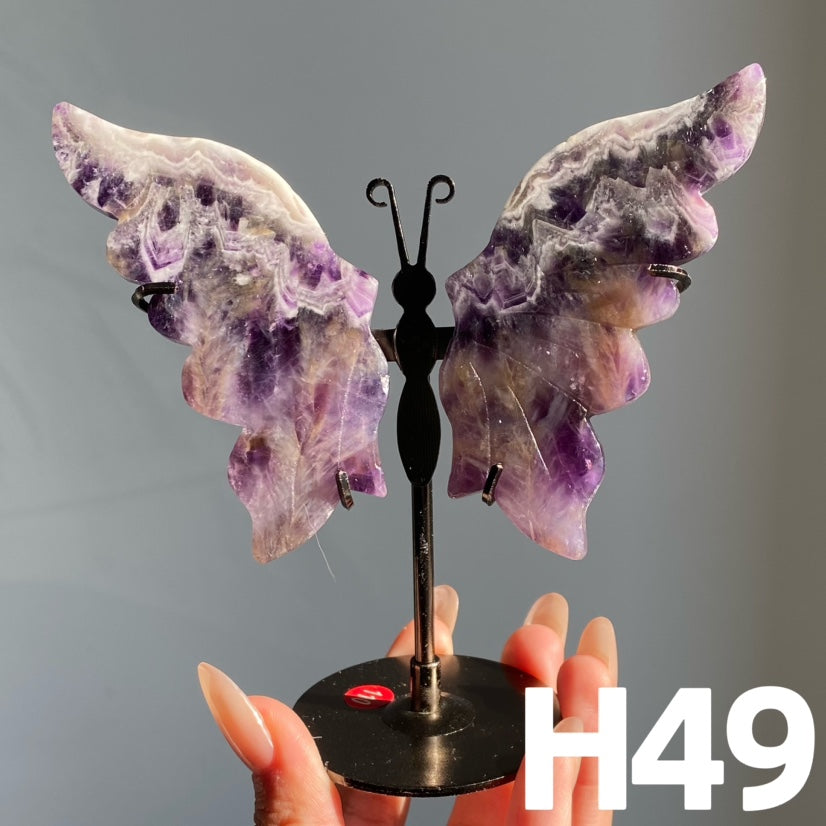 Small Butterfly Wings