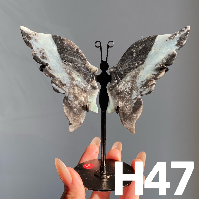 Small Butterfly Wings