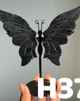 Small Butterfly Wings