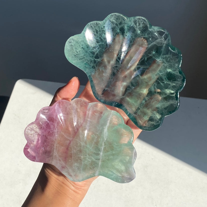 Fluorite Shell Tray