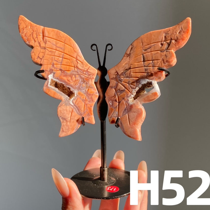 Small Butterfly Wings