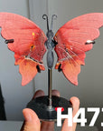 Small Butterfly Wings
