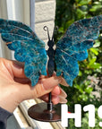Small Butterfly Wings
