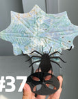 Clearance Crystal Spider Web