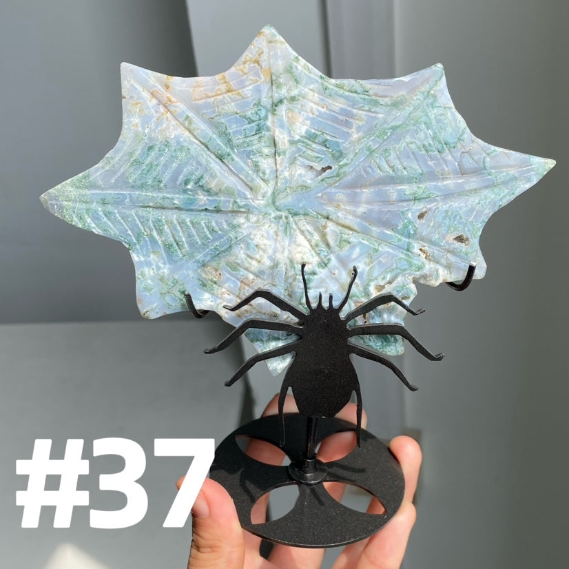 Clearance Crystal Spider Web