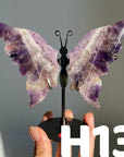 Small Butterfly Wings