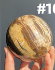 Petrified Wood Sphere