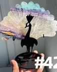Clearance Peacock Wings