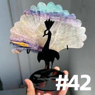 Clearance Peacock Wings