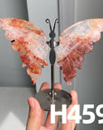 Small Butterfly Wings