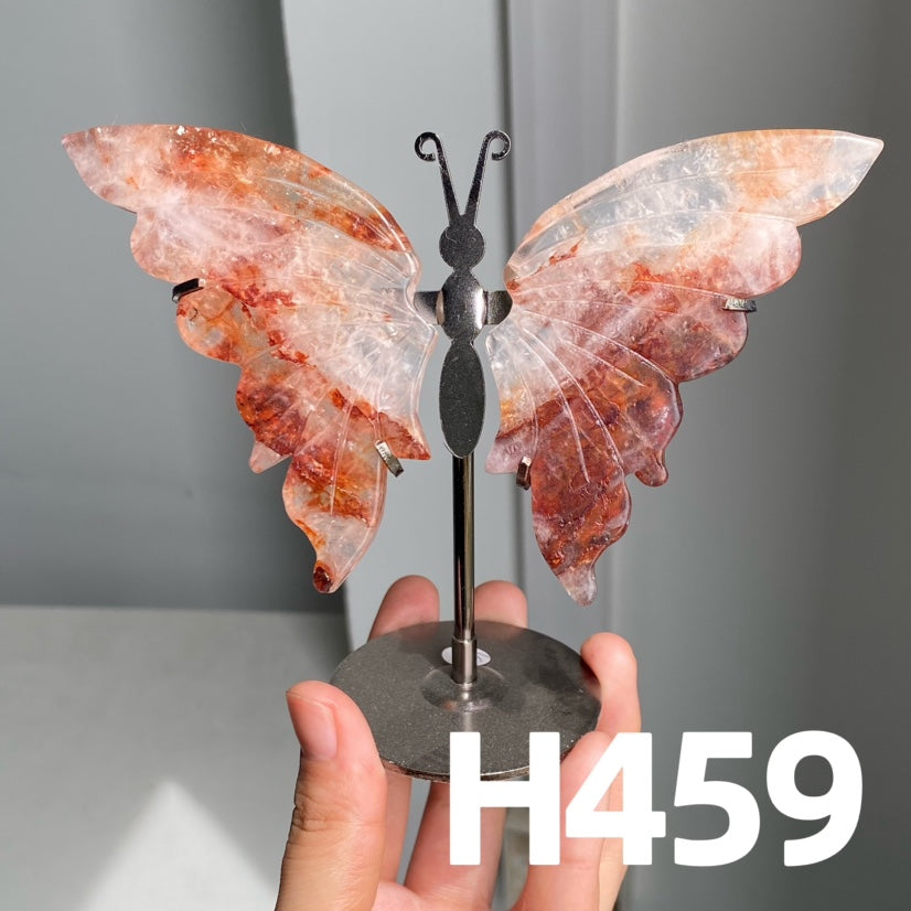 Small Butterfly Wings