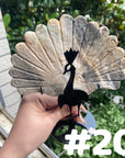 Clearance Peacock Wings
