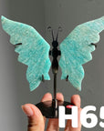 Small Butterfly Wings