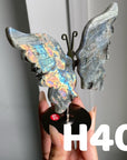 Small Butterfly Wings
