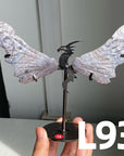 Dragon Wings