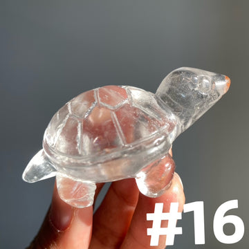 Crystal Turtle