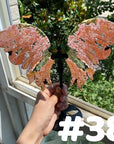 8th Vein Ocean Jasper Butterfly
