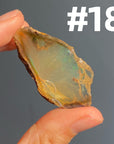 Ethiopian Water Opal