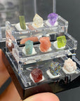 Mini Specimen Box