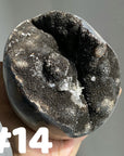 Septarian Egg & Freeform