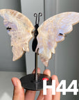 Small Butterfly Wings